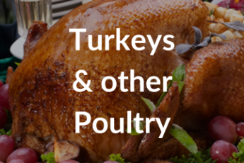 Turkey