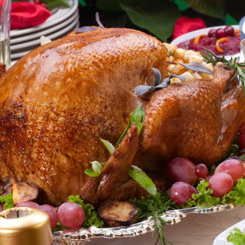 Christmas Turkey