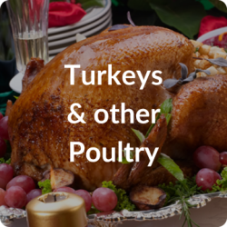 Christmas Turkey
